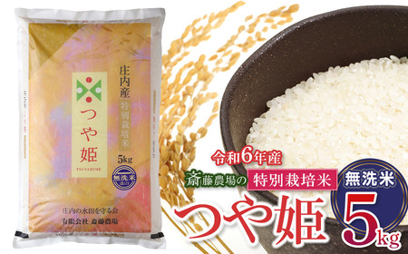 【令和5年産】 斎藤農場の特別栽培米 つや姫 無洗米 5kg Z05-004