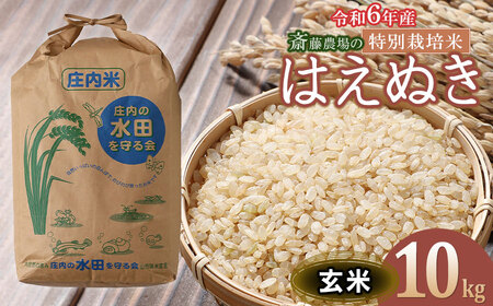 [令和6年産] 斎藤農場の特別栽培米 はえぬき 玄米 10kg(10kg×1) 山形県鶴岡市