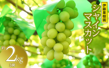 �y�ߘa8�N�Y��s�\��z�߉��s�Y�Ԃǂ� �V���C���}�X�J�b�g�@��2kg�i3�[�j�@�ɓ��ʎ���