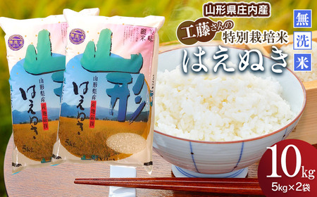 【令和5年産】新米 山形県庄内産 工藤さんの特別栽培米はえぬき無洗米 10kg （5kg×2袋）