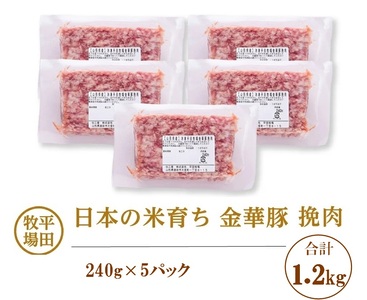 [平田牧場]日本の米育ち 金華豚 挽肉 計1.2kg(240g×5パック)