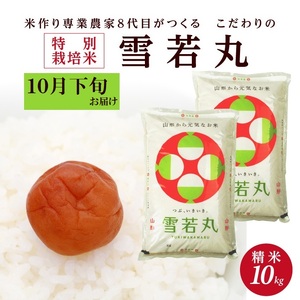 SA2228　10月下旬配送／令和6年産【精米】特別栽培米 雪若丸　10kg(5kg×2袋)「農家直送」 KA