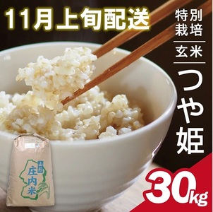 11月上旬配送/令和7年産[玄米]特別栽培米 つや姫 30kg×1袋[太ももの会] FU