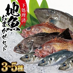 地魚おまかせセット(下処理済) 計1kg以上(3〜5種類入)