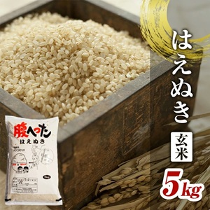 令和6年産[玄米]はえぬき 5kg×1袋 YA