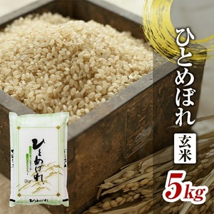 令和6年産[玄米]ひとめぼれ 5kg×1袋 YA