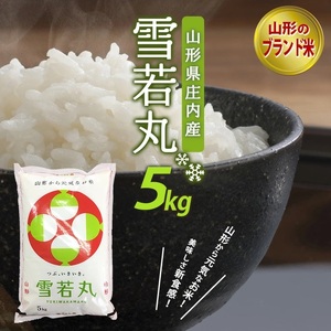 令和6年産[精米]雪若丸 5kg×1袋 AB