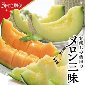 SE0492@y3ցzc̃Oy݃Zbg2026 (AfXAԓAA[X)