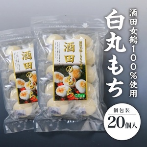 SA2786@yc100gpz@ۂ()@20(10×2)