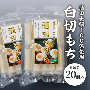 SA2536@c100gp@؂()@v20(10×2)