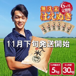 11月下旬発送開始/[6回定期便]令和7年産 無洗米はえぬき 5kg×6回(計30kg) 農家直送『いいあん米』AG