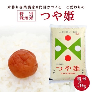 令和7年産[精米]特別栽培米つや姫 5kg×1袋「農家直送」 KA