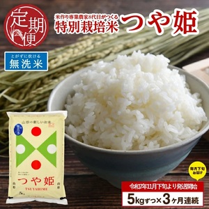 SE0389　11月下旬発送開始／【3回定期便】令和7年産 無洗米 特別栽培米 つや姫　5kg×3回(計15㎏)「農家直送」 KA