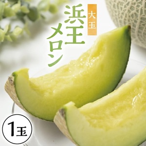 酒田の果物専門店厳選 庄内砂丘 浜王メロン大玉 1.4kg以上(1玉入)