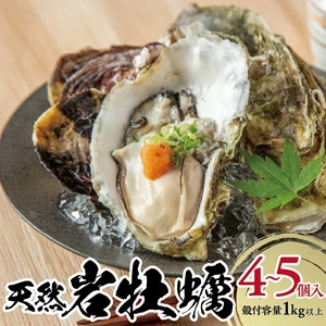 天然岩牡蠣 計1kg以上(4〜5個入)