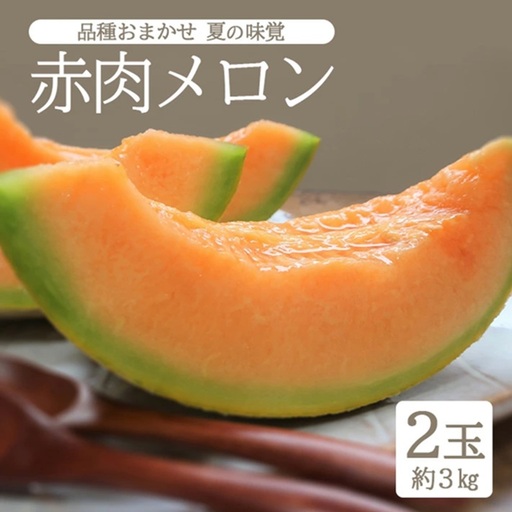 庄内砂丘 『品種おまかせ赤肉メロン』 約3kg(2玉入)