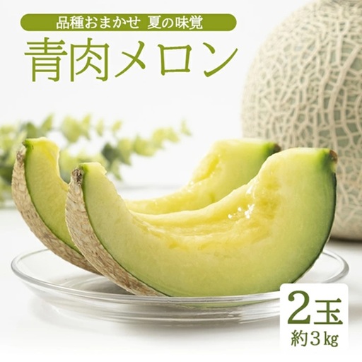 庄内砂丘 『品種おまかせ青肉メロン』 約3kg(2玉入)