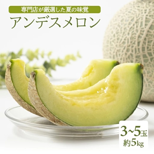 SB0923　庄内砂丘 『品種おまかせ青肉メロン』　約5kg(3～5玉入)