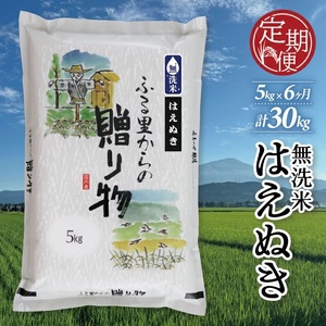 [6回定期便]令和7年産 無洗米 はえぬき 5kg×6回(計30kg) KN
