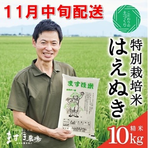 11月中旬配送/令和7年産[精米] 特別栽培米『はえぬき』 10kg(5kg×2袋)[減農薬・減化学肥料] MA