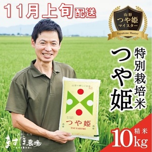 11月上旬配送/令和7年産[精米]つや姫マイスターが作った 特別栽培米『つや姫』10kg(5kg×2袋)[減農薬・減化学肥料] MA
