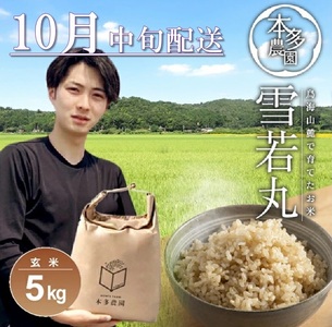 10月中旬配送/令和7年産[玄米]雪若丸 5kg 農家直送 HO