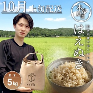 10月上旬配送/令和7年産[玄米]はえぬき 5kg 農家直送 HO
