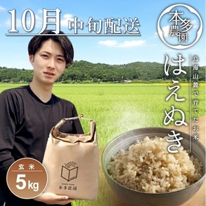 10月中旬配送/令和7年産[玄米]はえぬき 5kg 農家直送 HO