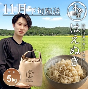SA2680　11月下旬配送／令和7年産【玄米】はえぬき　5kg 農家直送 HO