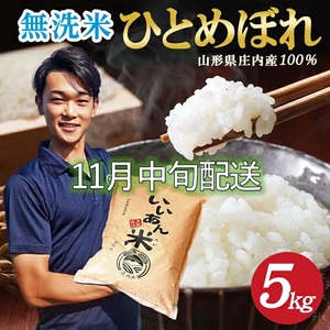 SB0748　11月中旬配送／令和7年産【無洗米】ひとめぼれ　5kg×1袋 農家直送『いいあん米』AG