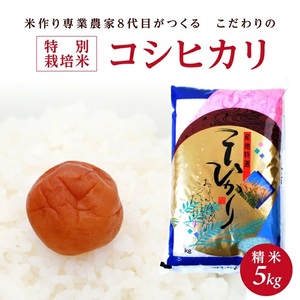 令和7年産[精米]特別栽培米コシヒカリ 5kg×1袋「農家直送」 KA