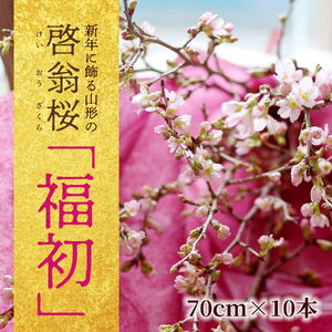 新年に飾る山形の桜 「福初2026」 酒田市の高橋さんの啓翁桜 70cm