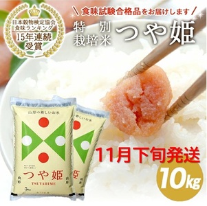SE0432@11{z^ߘa7NYyāzR`Y ʍ͔| P@10kg(5kg×2) JS