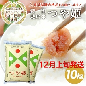 SE0433@12{z^ߘa7NYyāzR`Y ʍ͔| P@10kg(5kg×2) JS