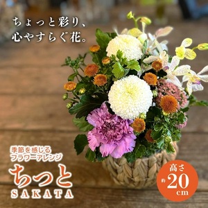 季節を感じるフラワーアレンジ 「SAKATA ちっと」