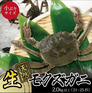 小ぶりな春の生・天然モクズガニ 2kg以上(21〜25匹入)