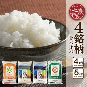 SH0047@y4ցzmānĖׁ@PA͂ʂAЂƂ߂ڂAہ@e5s×4(v20s) JM