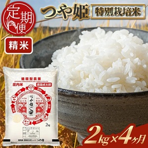 SE0495�@�y4�����ցz�ߘa7�N�Y �m���ān���ʍ͔|�Ă�P�@ 2kg×4��(�v8kg)