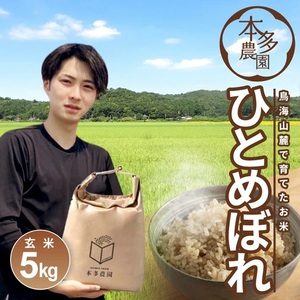 SA2790　令和7年産【玄米】ひとめぼれ　5kg 農家直送  HO