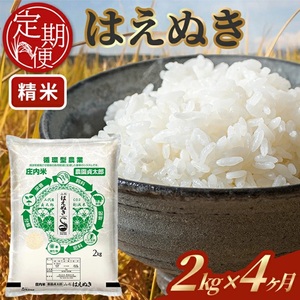 [4回定期便]令和7年産 [精米]はえぬき 2kg×4回(計8kg)