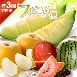 [3回定期便]果汁がひろがる! 酒田の美味しい果物お届け便2026 (アンデスメロン・小玉すいか・刈屋梨)
