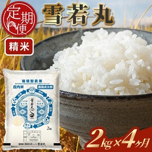 [4回定期便]令和7年産 [精米]雪若丸 2kg×4回(計8kg)