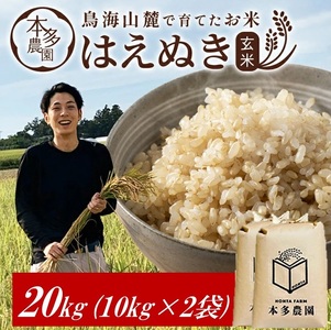 SF0320@ߘa7NYyāz͂ʂ@20kg(10kg×2) _ƒ HO