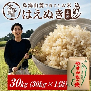 SH0051@ߘa7NYyāz͂ʂ@30kg(30kg×1) _ƒ HO