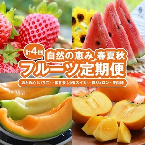 SE0506@y4ցzŘb݁@G߂̃t[c2026(3) (AʃXCJAʂ胁A`)