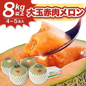 大玉赤肉メロン 8kg以上(4〜5玉入) つる無し
