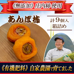 SA2823�@�ߘa7�N�Y�y�L�@�엿/���ƍ͔|�z�@�����`�i��������ۊ`�j�@9��(3��×3��)���ϔ���