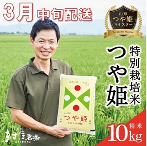 SE0534�@3�����{�z���^�ߘa7�N�Y�y���āz��P�}�C�X�^�[������� ���ʍ͔|�āw��P�x10kg(5kg×2��)�m���_��E�����w�엿�n MA