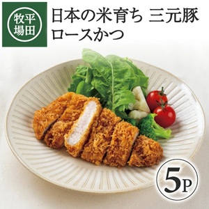 [平田牧場] 日本の米育ち 三元豚ロースかつ 135g×5パック