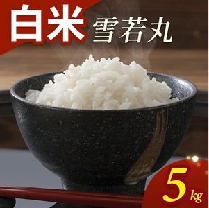令和7年産[白米]雪若丸 5kg(5kg×1袋) YA